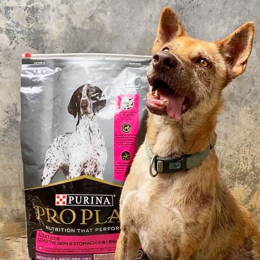 Hypoallergenic Food For Our Rescue Dogs  – Relief in Every Bite