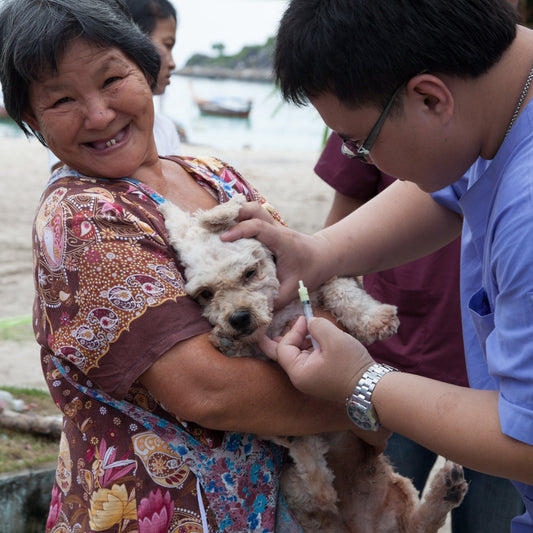 Animal rabies vaccination